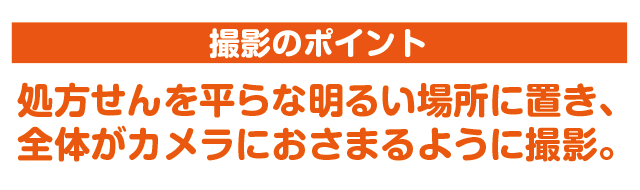 撮影のポイント